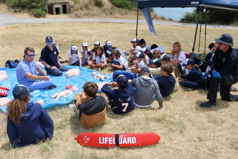 CPR Lessons